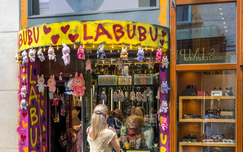 Pop Mart The Monsters Labubu Plush & Blind Box