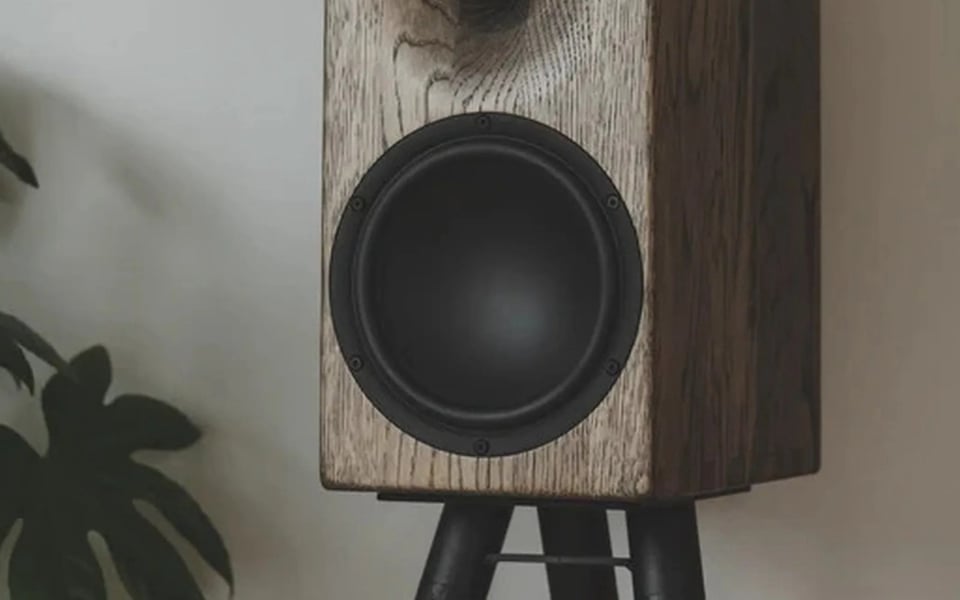 Buchardt Audio E50-S